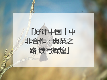 好评中国丨中非合作：典范之路 续写辉煌